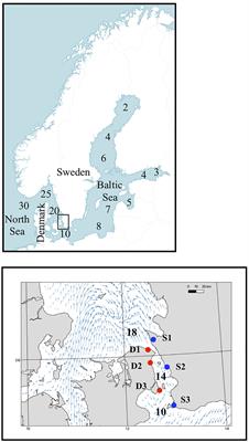 Combining an Ecological Experiment and a Genome Scan Show Idiosyncratic Responses to Salinity Stress in Local Populations of a Seaweed